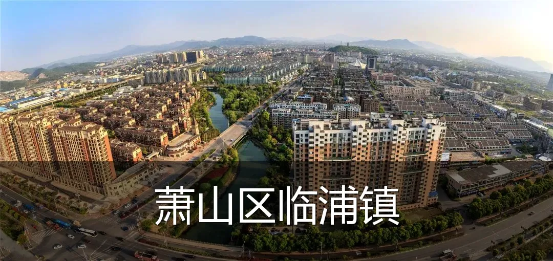 萧山区临浦镇