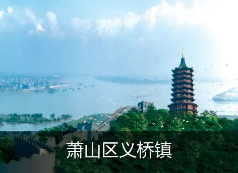 萧山区义桥镇