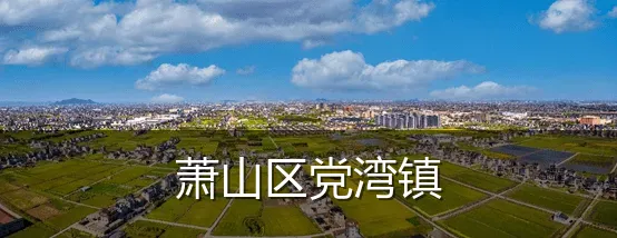 萧山区党湾镇