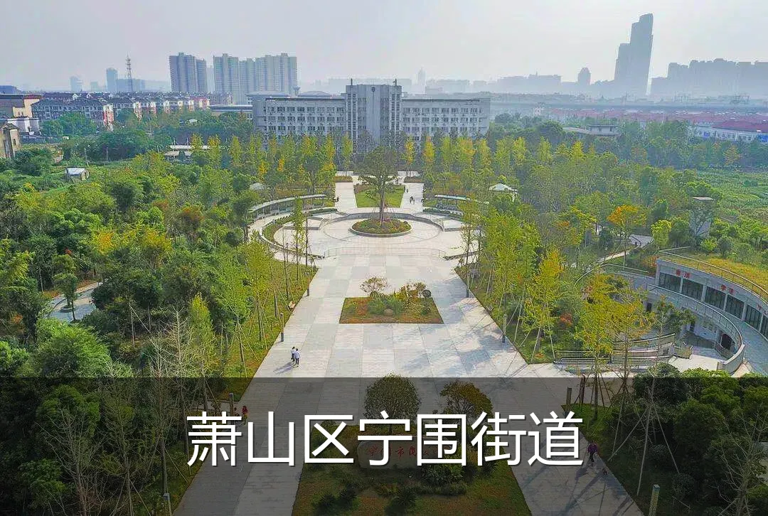 萧山区宁围街道