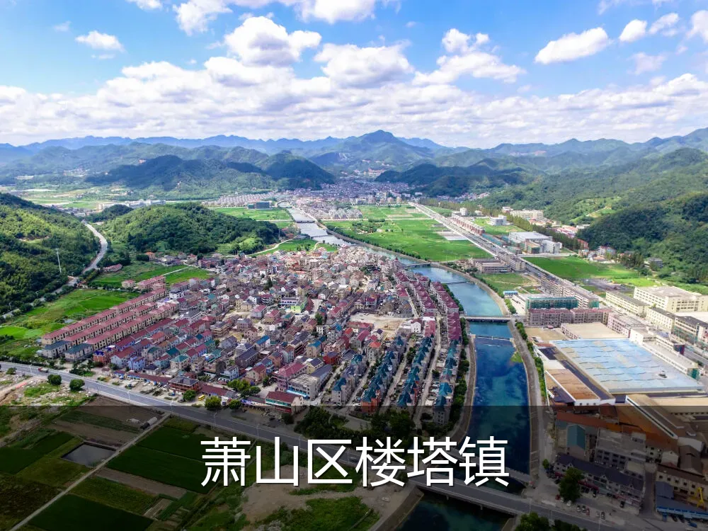 萧山区楼塔镇