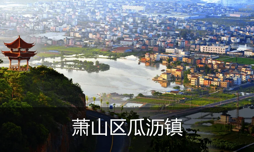 萧山区瓜沥镇