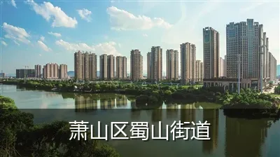 萧山区蜀山街道
