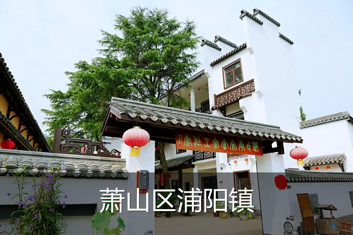 萧山区浦阳镇